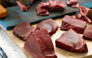 170518 Controles veterinarios