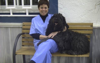 Yasmina Domínguez, vocal clínica del COLVET y experta en pequeños animales