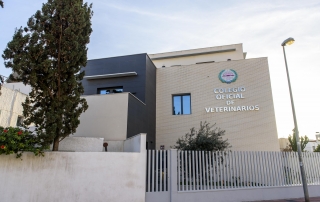 EDIFICIOVETERINARIOS012 baja