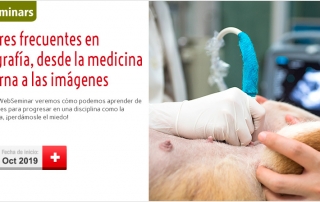 PY094751_WS_PGomez_Ecografia_2019_cabecera