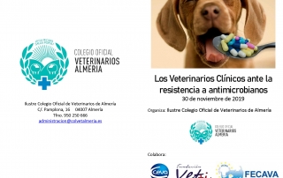 Díptico Resistencia_page-0001