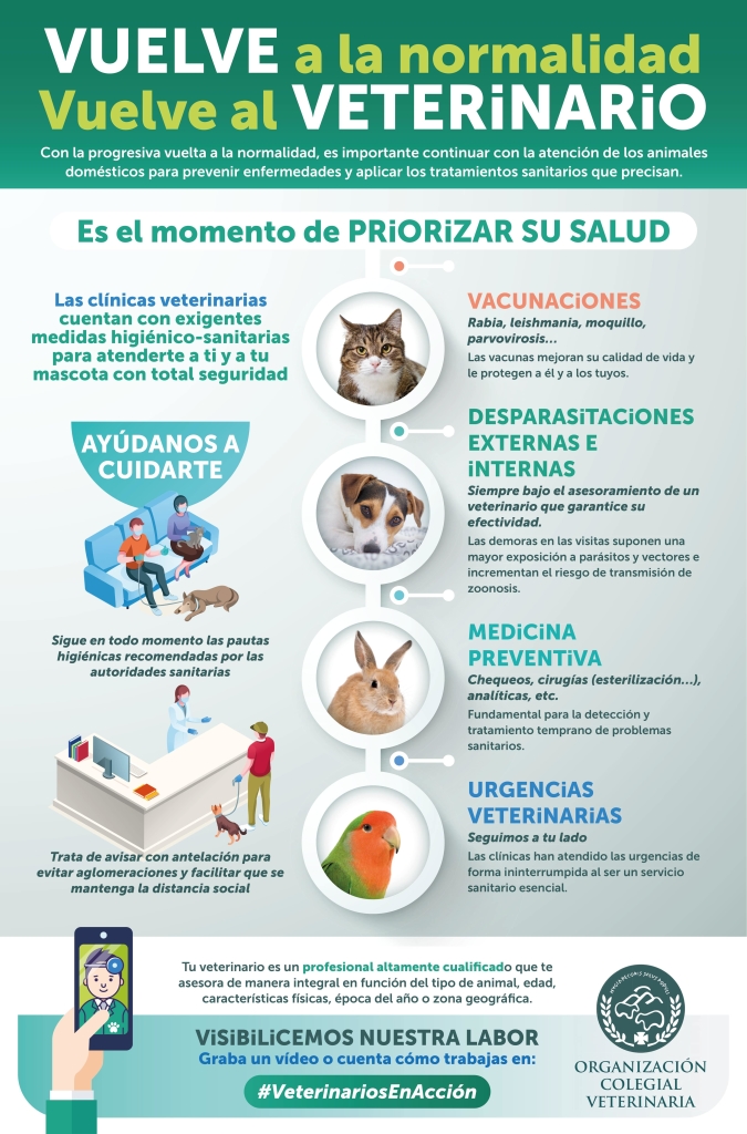 Infografi_a 5 - Vuelve veterinario RRSS (1)