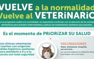 Infografi_a 5 - Vuelve veterinario RRSS (1)