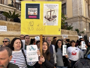 photo_3_2025-03-26_12-58-56