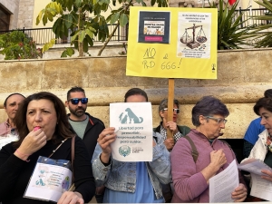 photo_7_2025-03-26_12-58-56