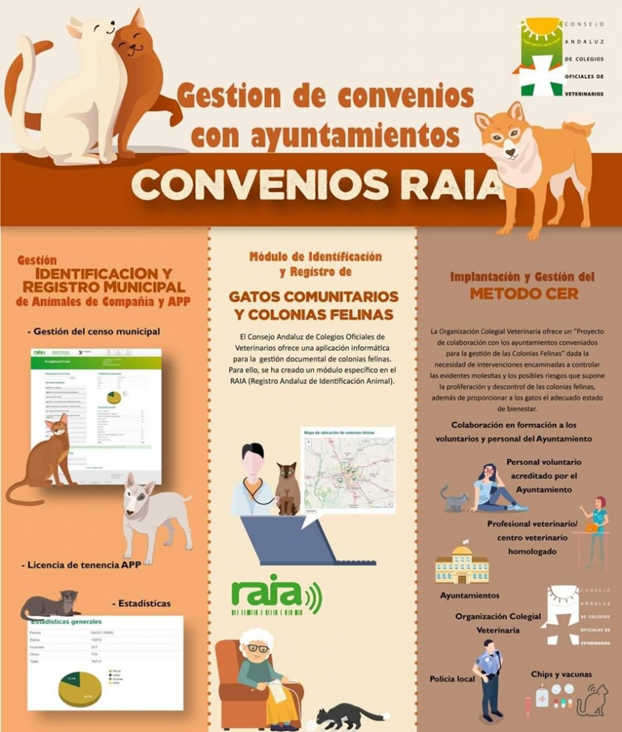 WhatsApp Image 2025-06-26 at 21.36.47