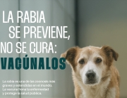 26-9 Día mundial rabia