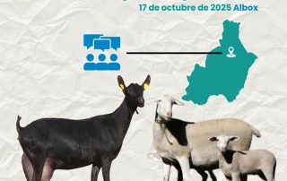 65b1ab82-9e30-cbd4-16e6-eac1b6006531