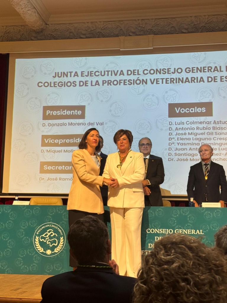 WhatsApp Image 2025-09-14 at 11.10.17