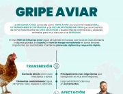 14-11 Infografía gripe aviar