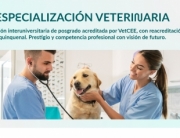 infografaespecializacionveterinaria