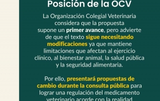 WhatsApp Image 2026-01-29 at 16.58.36 (1)