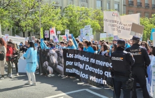 manifestacion7mayo-pancartas(1)